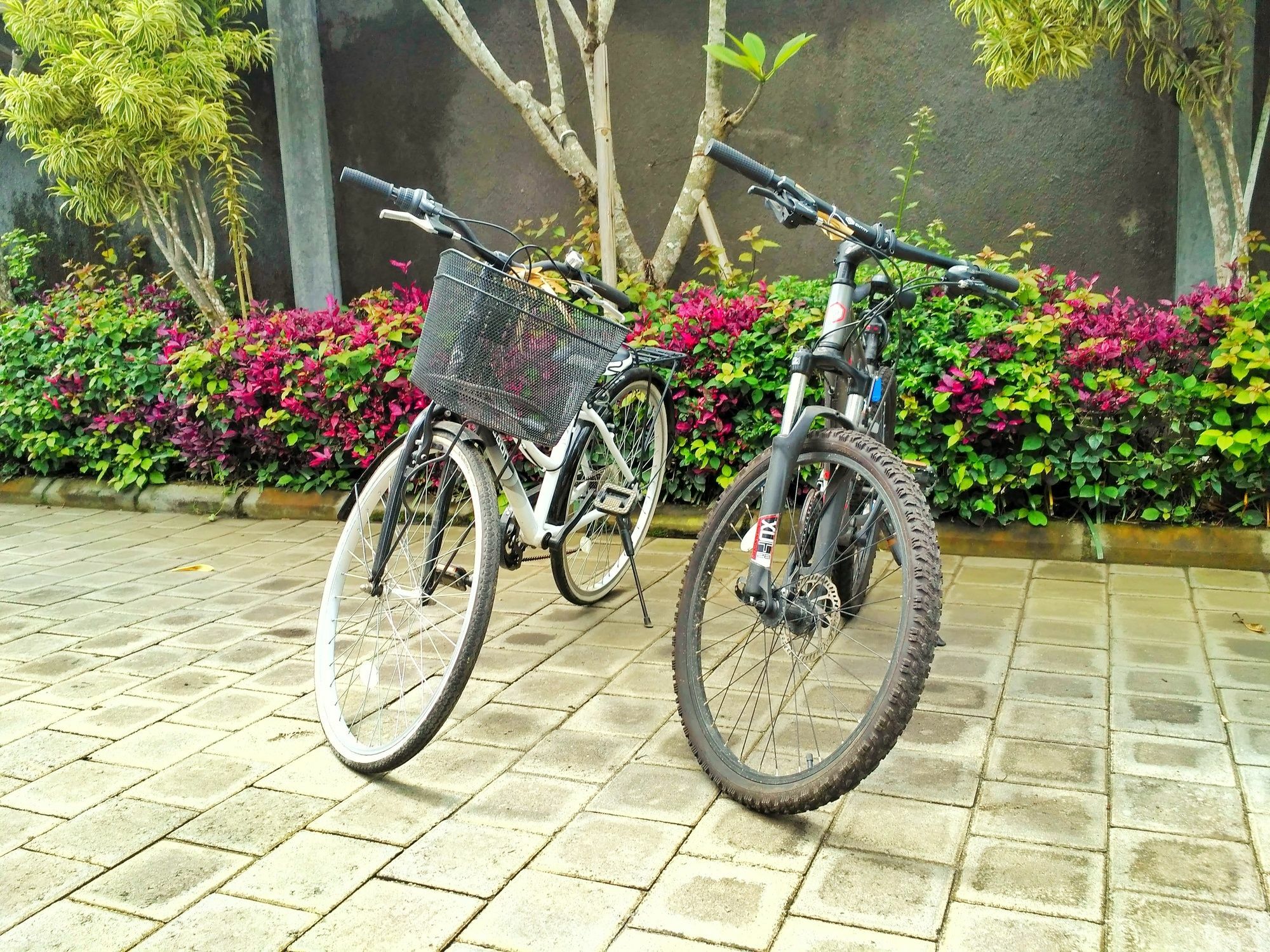 Amelle Villas & Residences Canggu Luaran gambar